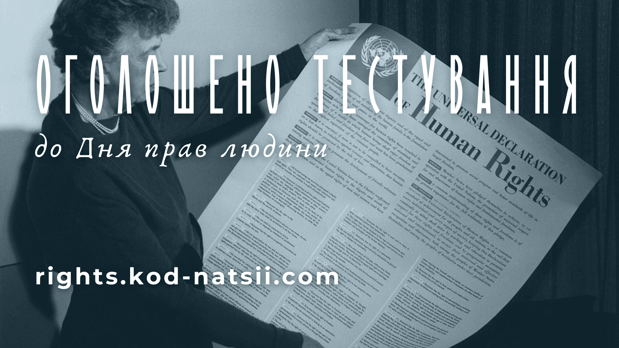 Тестування до Дня прав людини